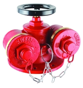 SQD100-1.6多用式地上消防水泵接合器、SQD150-1.6地上消防水泵接合器